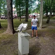 Sebastian79