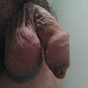 Facet82uniw - mann, 45 Jahre, Środa Śląska