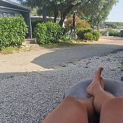 Sicmunfuscreqtusest87