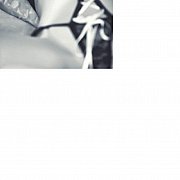 Kokonet - женщина, 31 лет, Łódź