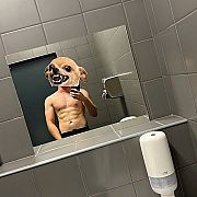 Albertx19 - mężczyzna, 23 lat, Kraków