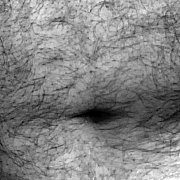 SkrzydloA - mann, 43 Jahre, Rydułtowy