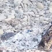 Limakkk - mężczyzna, 40 lat, Wadowice