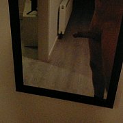 Schiedam33 - mężczyzna, 36 lat, Rotterdam