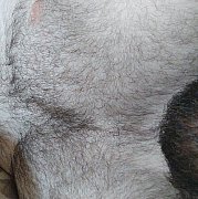 Xzqw - man, 33 years, Kętrzyn