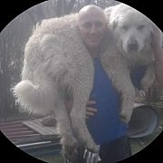 Pedzel7 - mann, 41 Jahre, Praszka