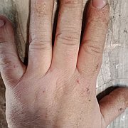 Misio74 - mężczyzna, 48 lat, Łochów