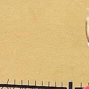 Macobl76 - mann, 49 Jahre, Warszawa