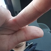 Alii1122 - mann, 39 Jahre, Gorzów Wielkopolski