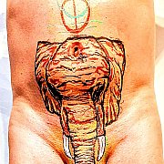 Ryczci - mann, 49 Jahre, Nürnberg