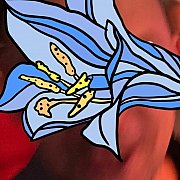 Clsm - mężczyzna, 44 lat, Katowice