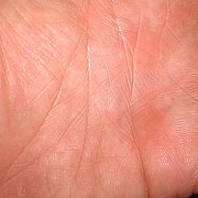 Tomekzhp - mężczyzna, 43 lat, Lublin