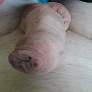 Bigosiczek - mężczyzna, 52 lat, Olsztyn