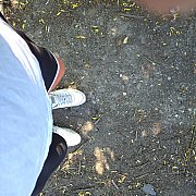 Bepete - чоловік, 35 років, Bielsko-Biała