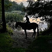 Alekxyzon - mężczyzna, 36 lat, Poznań