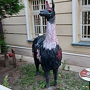 Giewontii - mann, 35 Jahre, Opole