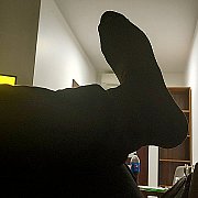 Mlody262626 - mann, 35 Jahre, Tomaszów Mazowiecki