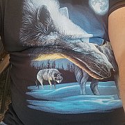 Mietekmietek - мужчина, 50 лет, Gorzów Wielkopolski