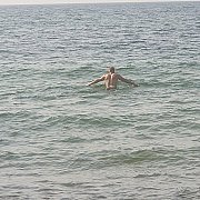 2Misiaki - couple (woman 42 years, man 33 years), Kołobrzeg