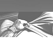 PoznaMyUleglabadzTrans