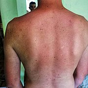 Sebastian203 - mann, 31 Jahre, Wasilków