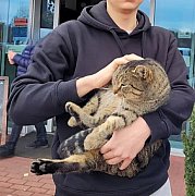 DziadekZuk - mężczyzna, 23 lat, Lublin