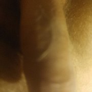 Assatek95 - мужчина, 28 лет, Gdańsk