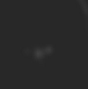 Maks77777771 - muž, 37 let, Łódź