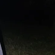 Speedlopez