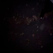 Obciagara555 - trans, 36 lat, Wrocław