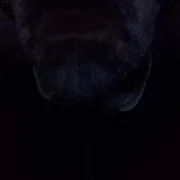 Rumcajs69