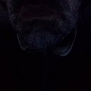 Rumcajs69