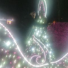 Photo in gallery