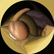 Greg6801 - mężczyzna, 57 lat, Gdańsk