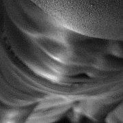 Poznamheteroszcz - мужчина, 30 лет, Szczecin