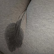 YourBitch - žena, 33 let, Szczecin