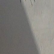 Jxxxp