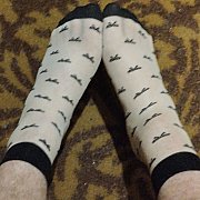 Natolii69 - trans, 26 lat, Kalety