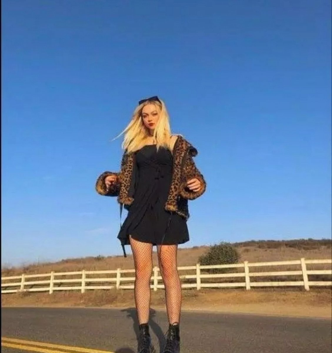 Photo in gallery