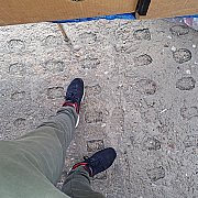 Kuska - мужчина, 36 лет, Łódź