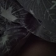 Calor - mężczyzna, 24 lat, Ostrołęka