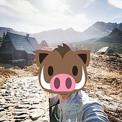 Photo in gallery