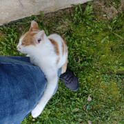 MarcinMJ87 - mężczyzna, 38 lat, Rzeszów