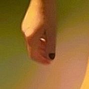 Noemi777 - kobieta, 47 lat, Wałbrzych