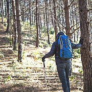 Gb147 - man, 43 years, Leżajsk