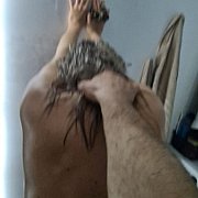 NigdyNieMowNie - muž, 35 let, Katowice