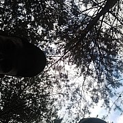 Ferdekkk - mann, 31 Jahre, Toruń