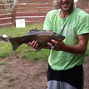 Sliczny - mężczyzna, 39 lat, Olsztyn