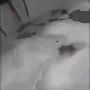 Mula9 - kobieta, 25 lat, Warszawa