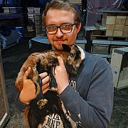 Dominozlublina - mann, 29 Jahre, Lublin